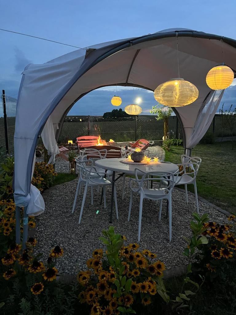 Liwa Garden Krzywa 11 Exterior foto