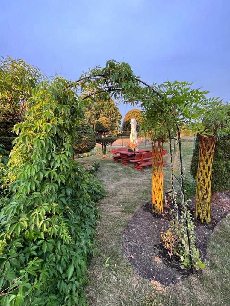 Liwa Garden Krzywa 11 Exterior foto