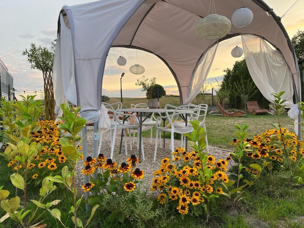 Liwa Garden Krzywa 11 Exterior foto